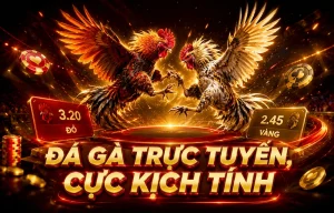 Giao diện sảnh Đá Gà 357227